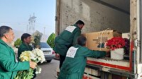 ارسال دهها هزار گل‌ به حرمین عسگریین(ع)