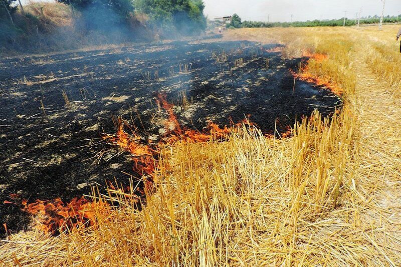 لزوم خودداری کشاورزان از سوزاندن بقایای گیاهی