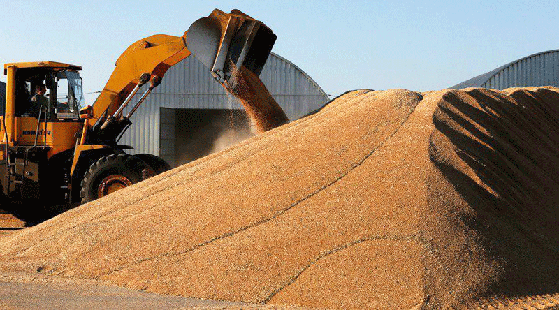 ذخیره ۹۰۳ هزار تن گندم در سیلو‌های فارس