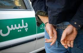 دستگیری سه نفر اراذل اوباش در کهگیلویه