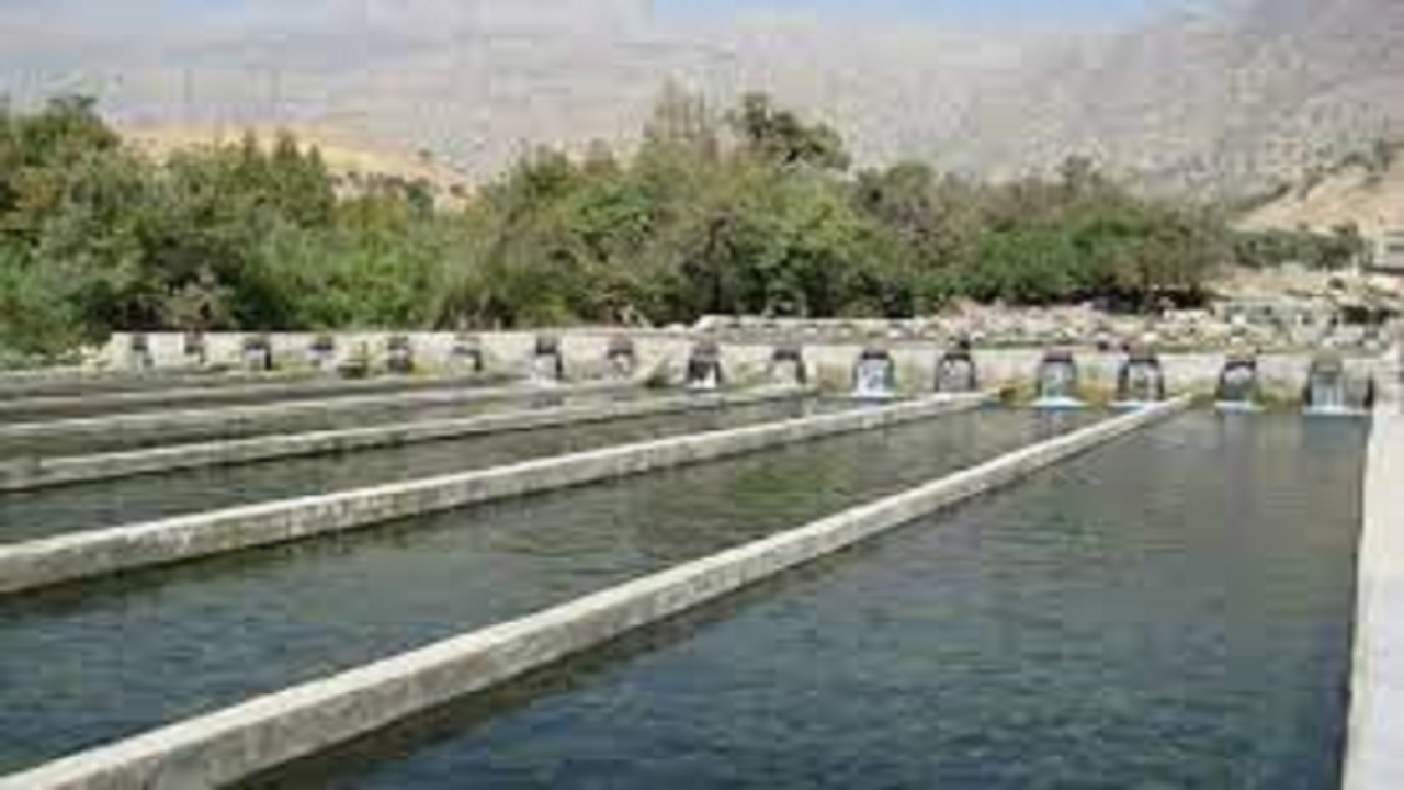 توسعه صنعت آبزی‌پروری در استان اردبیل