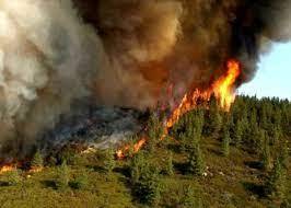 آتش گرفتن پنج هکتار از پارک ملی تندوره درگز