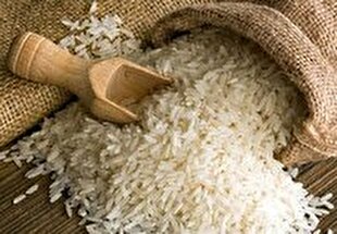 ادامه ممنوعیت فصلی واردات برنج