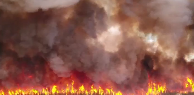 بیش از ده میلیون هکتار اراضی جنگلی کانادا در آتش سوخت