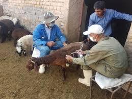 ثبت هزار و ۴۳۰ گروه جهادی چهارمحال و بختیاری در اطلس جهادی کشور