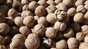 توقیف بیش از ۴ تن گردو و بادام هندی قاچاق در فلاورجان