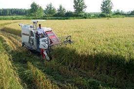 استقبال شالیکاران و آینده امیدبخش مکانیزاسیون برنج