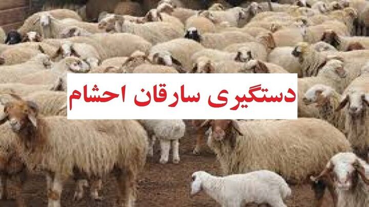 دستگیری سارقان احشام در دنا