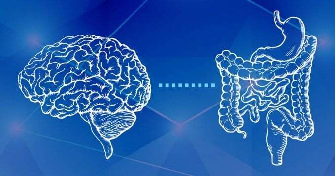 توسعه فناوری پیشرفته‌ برای بررسی رابطه مغز و روده
