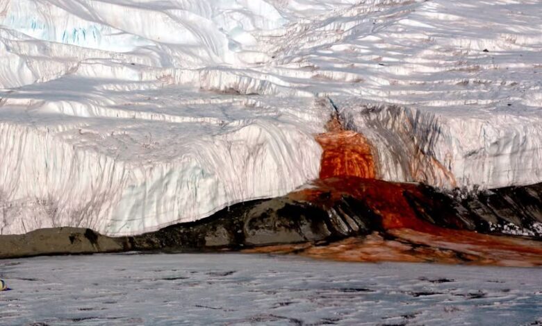 راز آب‌های قرمز رنگ آبشار خون قطب جنوب فاش شد