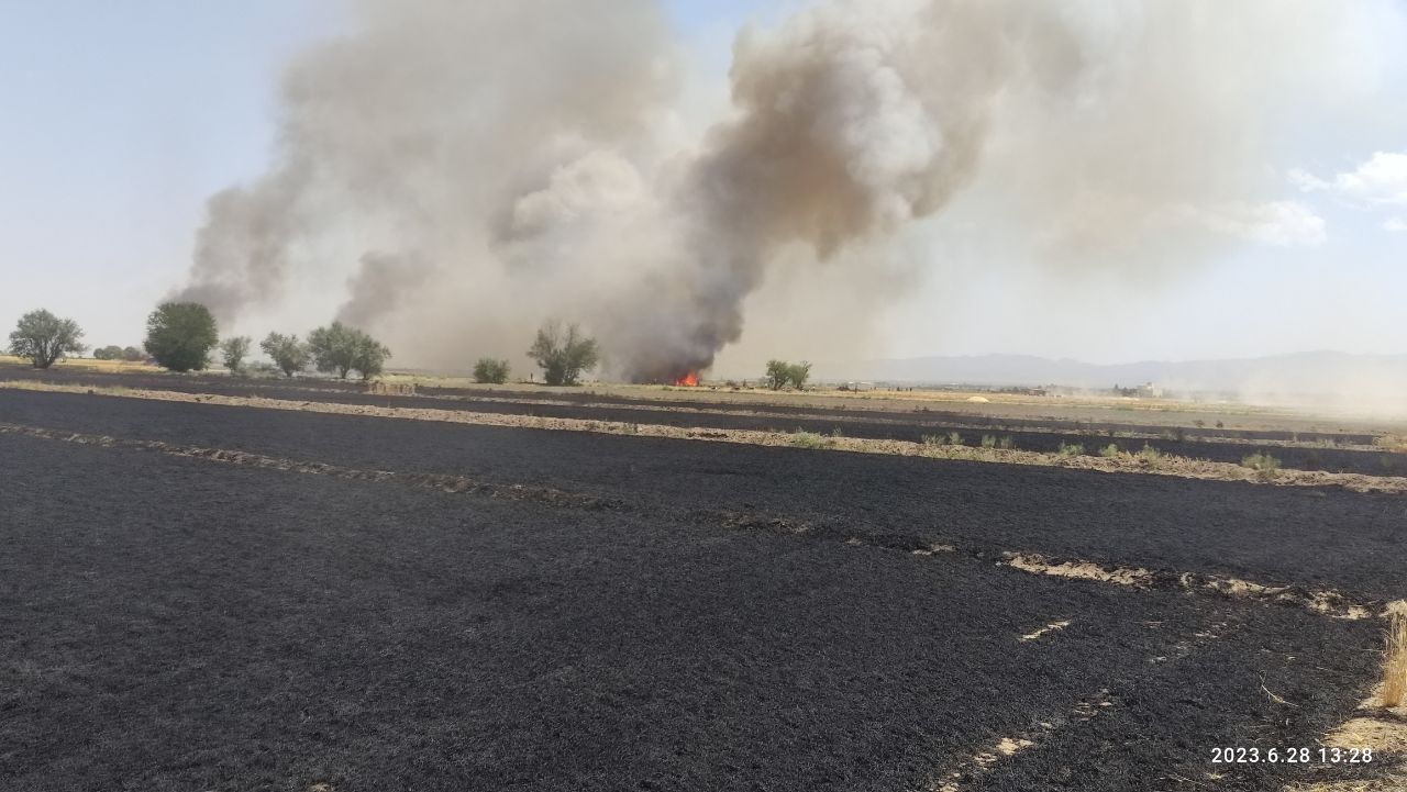 آتش سوزی در ۶ هکتار از مزارع گندم جوین