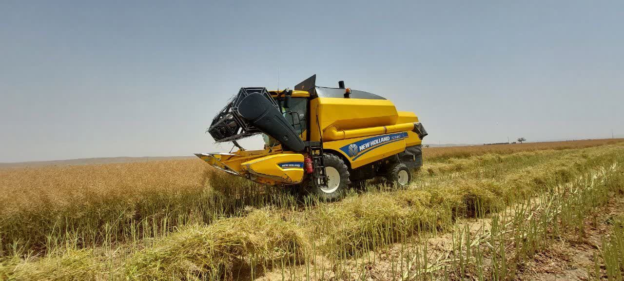 برداشت ۱۸ هزار تن گندم از مزارع بخش رخ