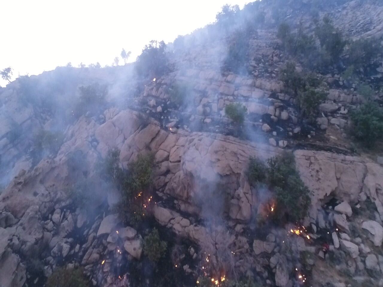 آتش سوزی ارتفاعات نارک گچساران