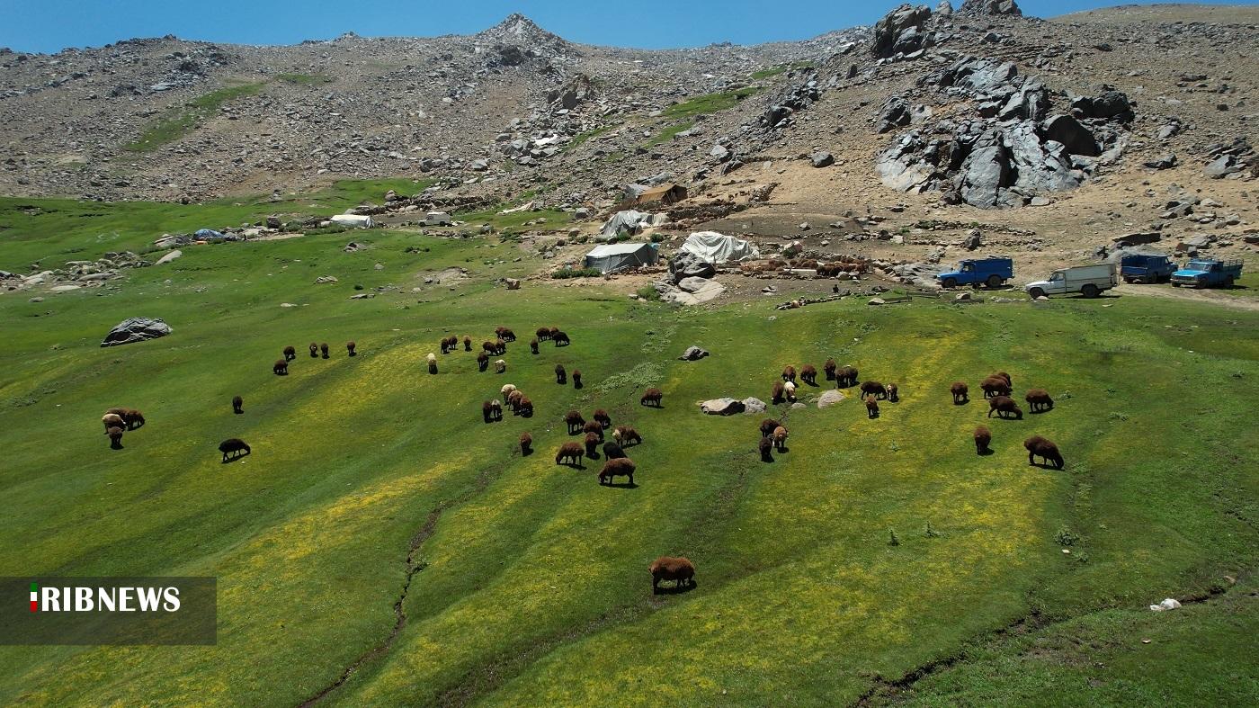 طبیعت زیبای دشت میشان همدان با حضور عشایر