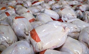 کشف یک تن  گوشت مرغ منجمد  غیرقابل مصرف در کرمانشاه