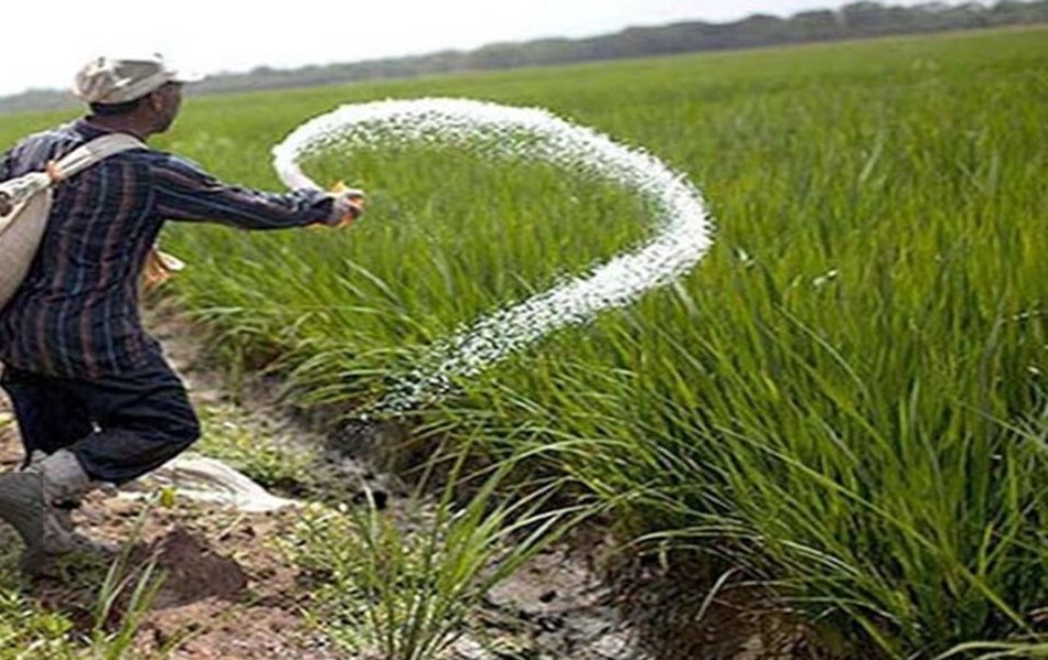 ۶ درصد از کود شیمیایی کشور سهم کشاورزی گلستان است