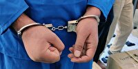 دستگیری ۱۶ سارق اماکن خصوصی و کشف ۱۱ فقره سرقت در یزد