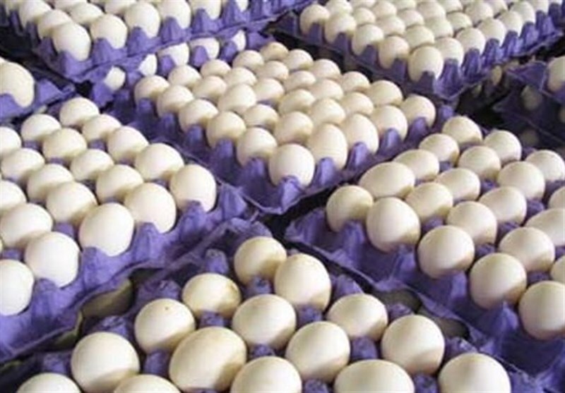 صادرات بیش از ۸۶ تُن تخم مرغ از طرقبه شاندیز به کشور افغانستان