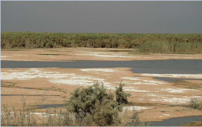 خشک شدن ماهانه تا ۳۰ سانتیمتر از تالاب‌های خوزستان