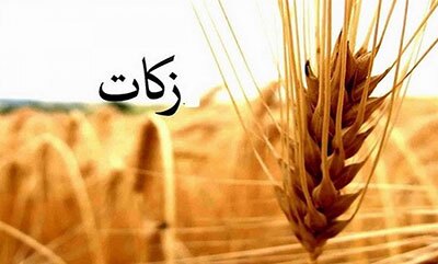 پرداخت بیش از ۵۰۰ میلیارد ریال زکات در سال جاری