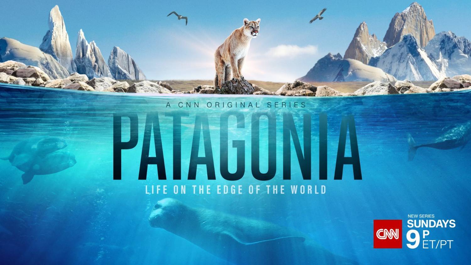 مستند «پاتاگونیا، زندگی بر لبه جهان» از شبکه پنج