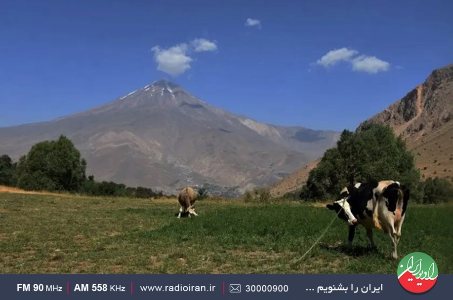 سفر به روستای نوا در « راهی به آبادی»