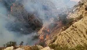 مهار آتش سوزی در جنگلهای نارکِ گچساران