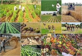 نشست بی نتیجه تعیین قیمت محصولات کشاورزی
