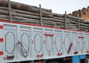 توقیف کامیون حامل ۲۵ تن چوب قاچاق در فاریاب