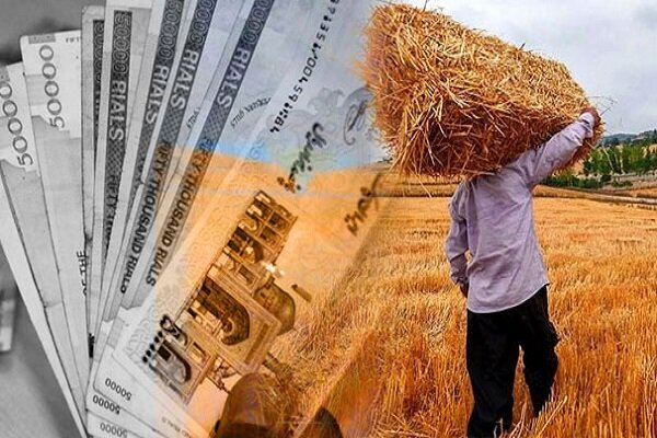 پرداخت بیش از سه هزار میلیارد ریال از مطالبات کشاورزان