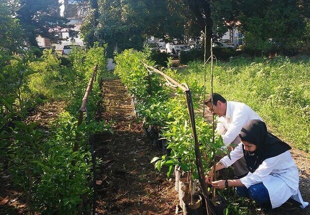 ۳۸ مرکز خدمات جهاد کشاورزی استان اردبیل واگذار می‌شود