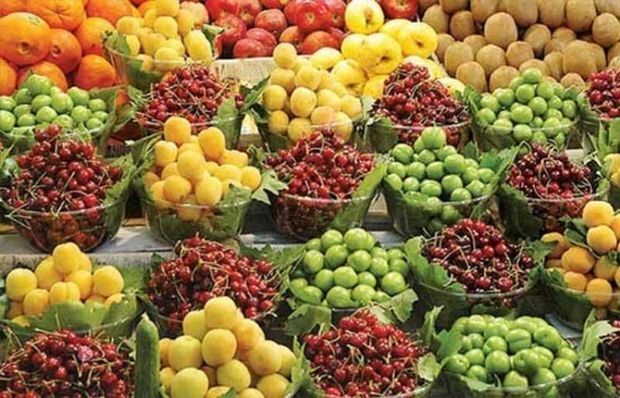 پیش بینی برداشت بیش از ۴۰۰ هزار تن انواع محصولات باغی در کردستان