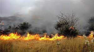 آتش‌سوزی در ۱۸ هکتار از اراضی طارمات سلطانیه زنجان