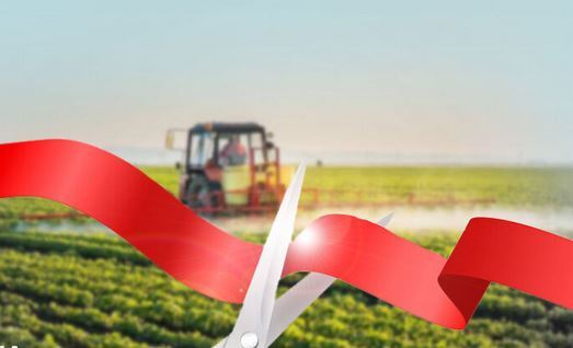 اشتغالزایی ۵۷۳ نفر با افتتاح ۳۶ طرح بخش کشاورزی در یزد