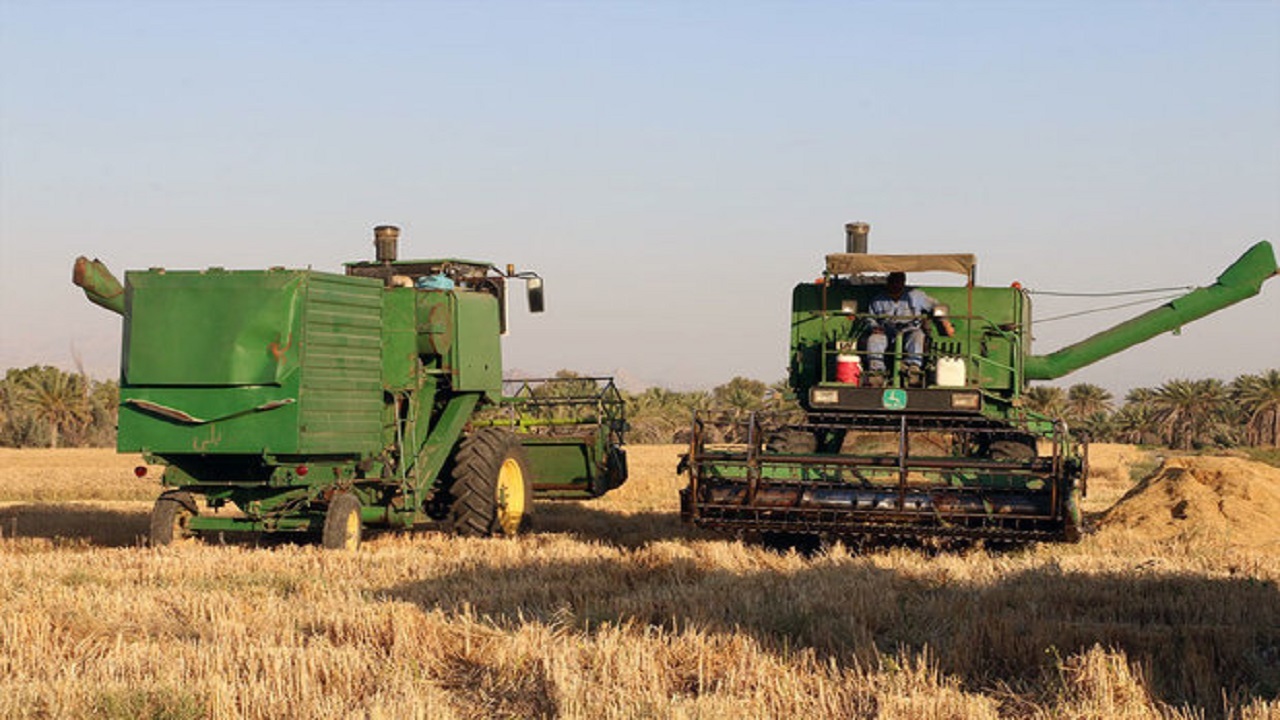 خرید تضمینی بیش از ۱۷۸ هزار تن گندم در استان قزوین 