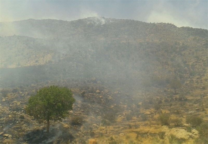مهار آتش در جنگل‌های زاگرس شهرستان رستم