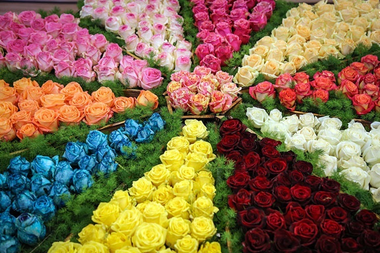 برپایی نمایشگاه گل، گیاه و گیاهان دارویی در کرمانشاه