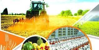 افتتاح ۴۶ پروژه بخش کشاورزی در استان کرمانشاه