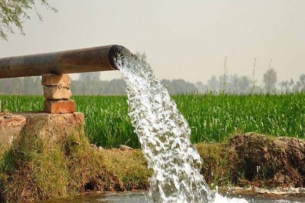 برداشت غیرمجاز عامل بروز مشکل تامین آب کشاورزی در شادگان