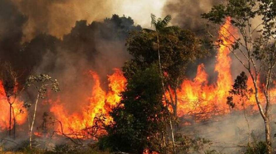 سهل انگاری ۸۰ درصد عامل آتش سوزی اراضی ملی