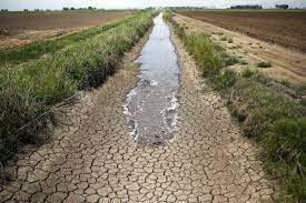 طرح ازبکستان برای مقابله با کمبود آب کشاورزی
