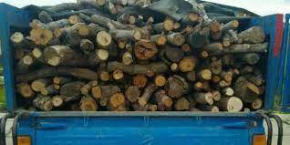 کشف و ضبط بیش از 10 تن چوب قاچاق در سردشت