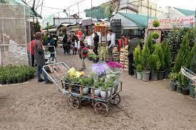 اراضی دولتی منطقه ۱۴ و بازار گل و گیاه تهران ساماندهی می‌شود