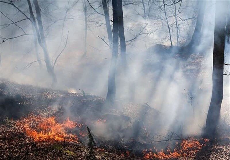 ۱۵۹ هکتار از جنگل‌های باشت در آتش سوخت
