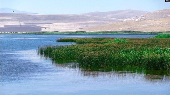 رهاسازی ۸۷ میلیون متر مکعب حق‌آبه تالاب‌های پارک ملی دریاچه ارومیه