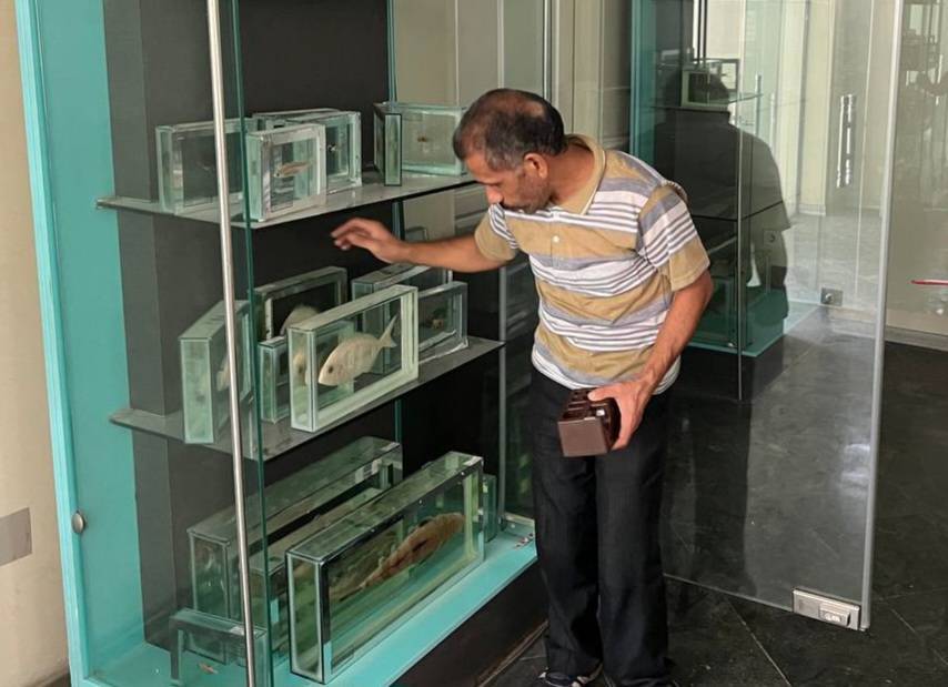 راه اندازی بخش ماهیان خلیج فارس در موزه دارآباد