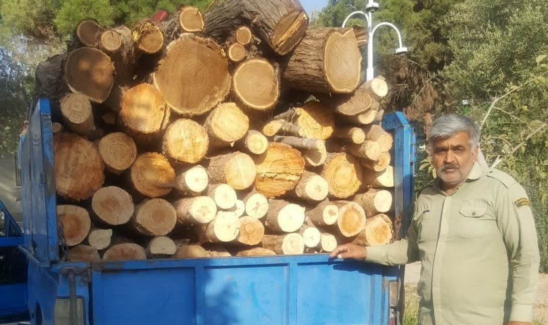 کشف و توقیف بیش از یک تن چوب غیر مجاز در شهرستان کاشمر