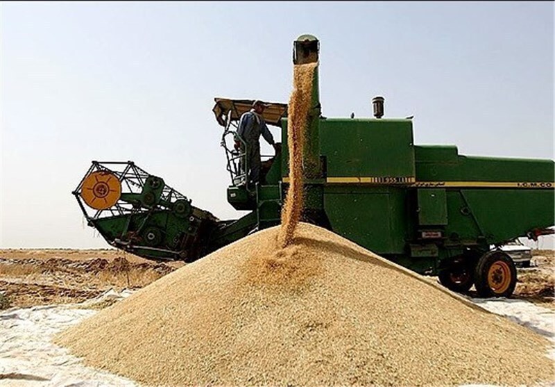 هشترود، رتبه نخست تولید گندم در آذربایجان شرقی