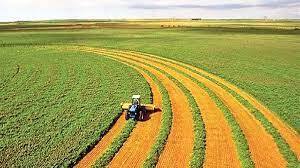 خرید محصولات کشاورزی  از مرز ۹۰ هزار تن گذشت