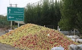 خرید 400 تن سیب صنعتی بصورت توافقی در آذربایجانغربی